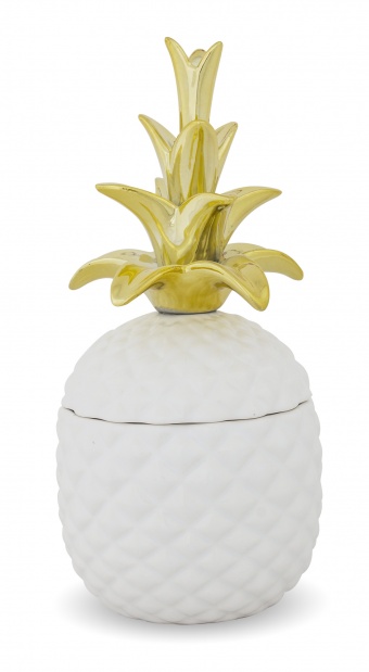Pineapple container