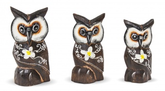 Pl 3 owls
