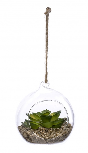 Ornamental plant in glass