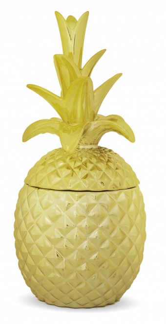 Pineapple container