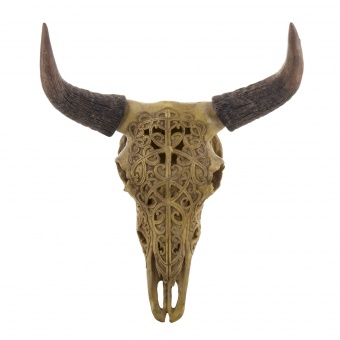 Decoration of Wall Buffalo Head