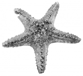 Figurine of a starfish