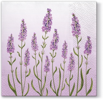 Pl napkins lavender field