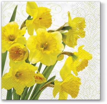 Pl napkins of yellow daffodils