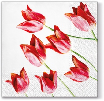 Pl napkins red tulips