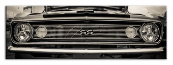 Reproduction g92887
