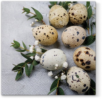 Pl napkins natural eggs
